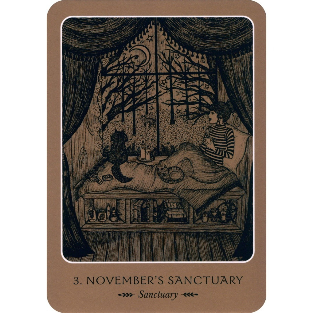 【預馨緣塔羅鋪】現貨正版綻放女性覺醒卡Wild Woman Oracle(全新36張)-細節圖7