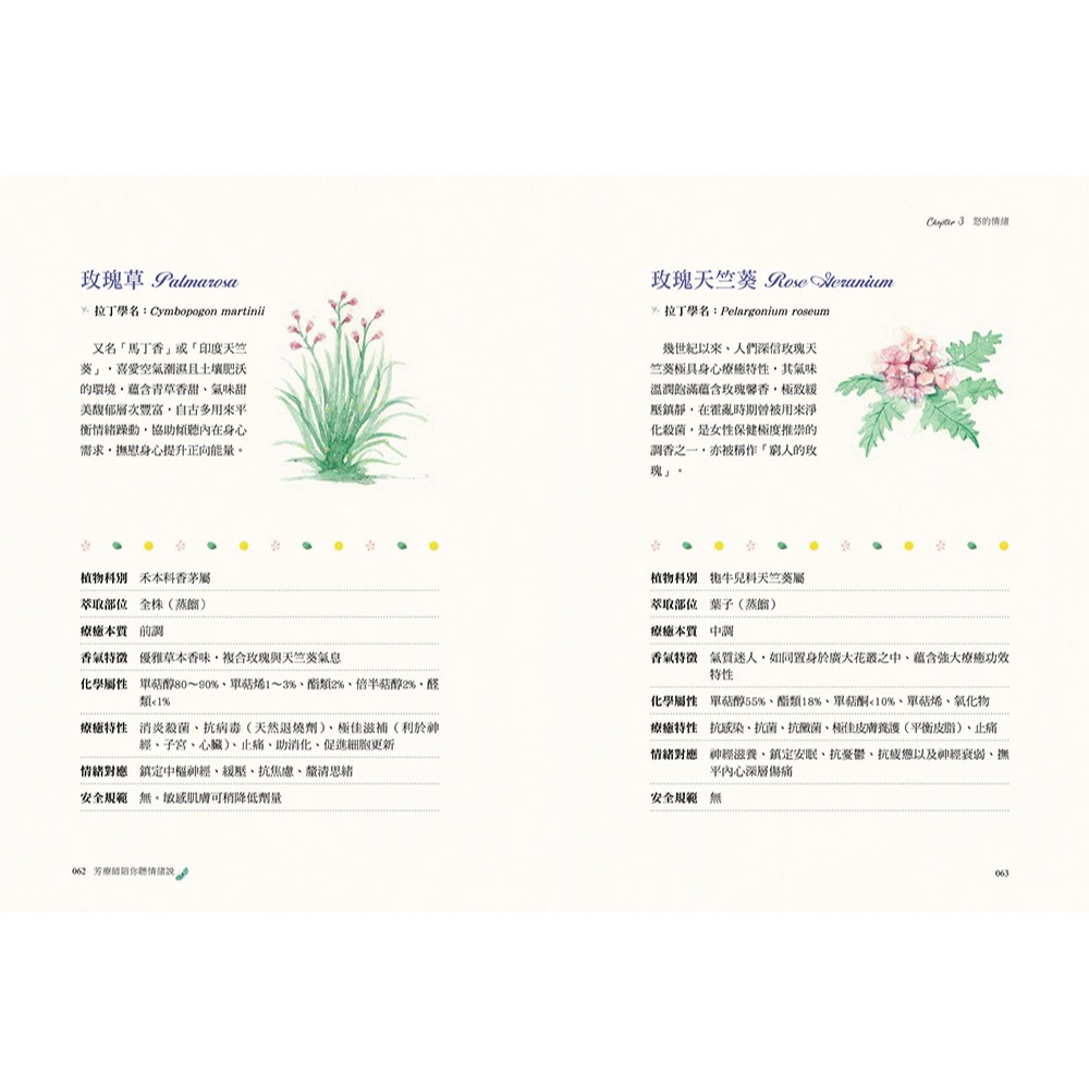 【預馨緣塔羅鋪】現貨正版芳療師陪你聽情緒說（附35張植物療心陪伴卡隨行版）-細節圖7