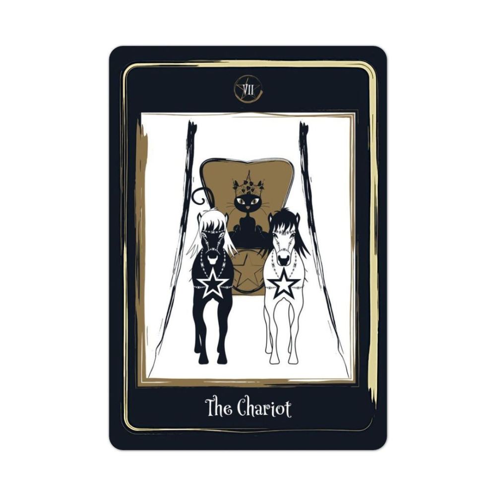 【預馨緣塔羅鋪】現貨正版金色黑貓塔羅Golden Black Cat Tarot (全新78張)-細節圖5