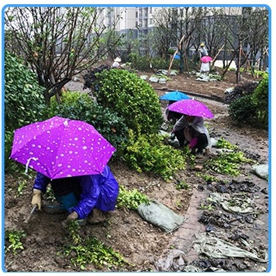 升級加大 摺疊 頭傘 遮陽避雨 頭戴傘 傘帽 帽傘 頭帶傘 雨傘帽 頭戴式 遮陽傘 雨傘帽 雨傘🌞小張購物🌞-細節圖6