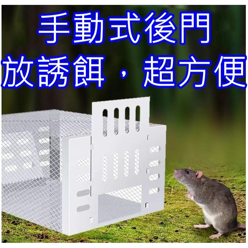 連續抓 重複用 捕鼠籠 補鼠神器 老鼠籠 黏鼠板 粘鼠板 捕鼠板 捕鼠器 滅鼠板 捕鼠貼 老鼠板 抓老鼠🌞小張購物-細節圖11