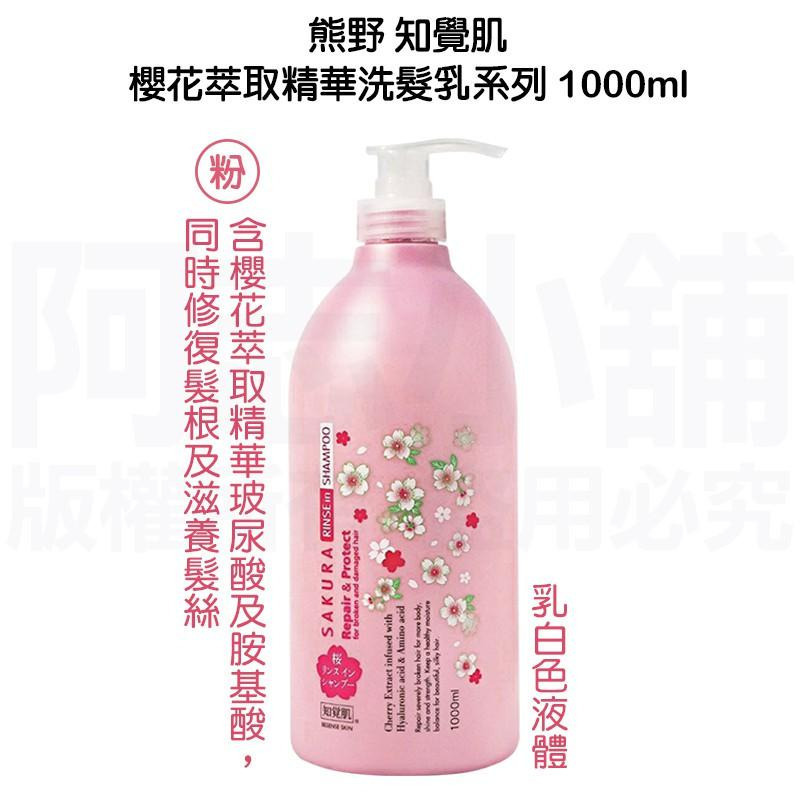 日本 熊野 SALON LINK 沙龍級無矽靈洗髮乳 1000ml-細節圖5