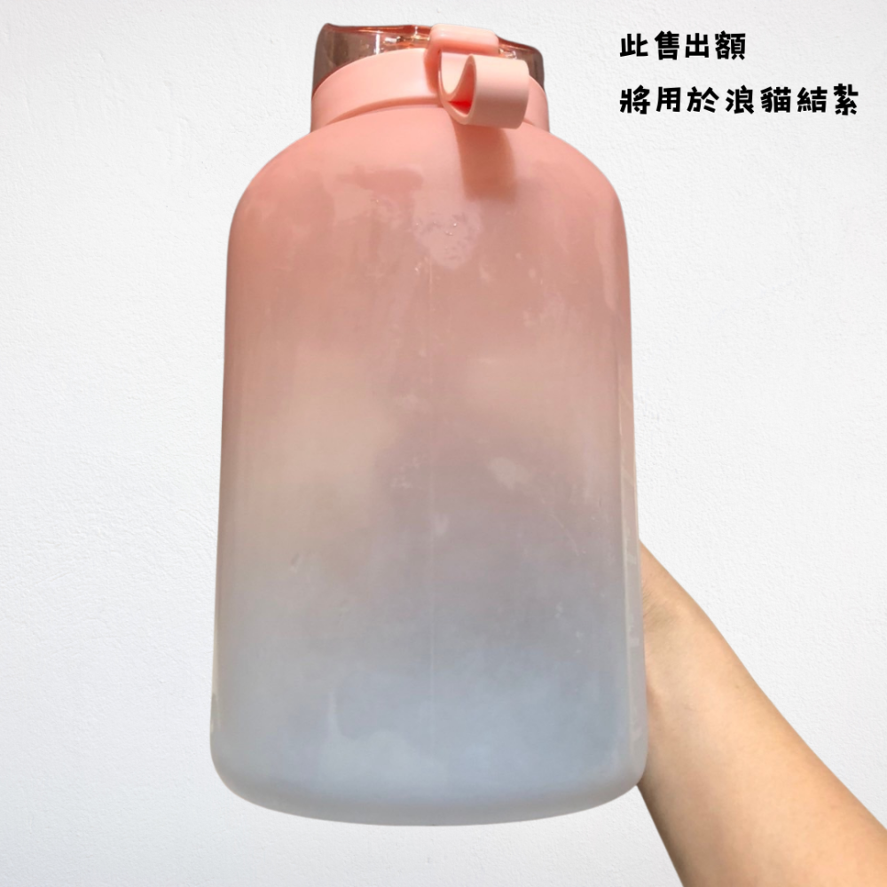 ❮二手❯ 元氣熊 GENKI BEAR 泳夏 Tritan 戶外運動水壺 2500ml 灰色 大容量水壺 運動水壺-細節圖2