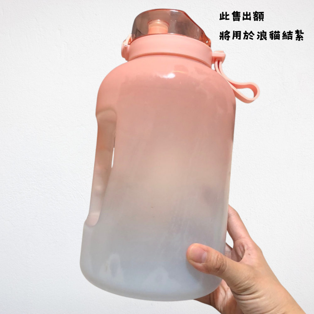 ❮二手❯ 元氣熊 GENKI BEAR 泳夏 Tritan 戶外運動水壺 2500ml 灰色 大容量水壺 運動水壺-細節圖4