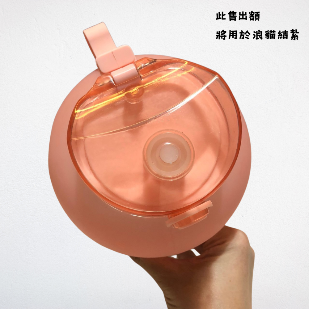 ❮二手❯ 元氣熊 GENKI BEAR 泳夏 Tritan 戶外運動水壺 2500ml 灰色 大容量水壺 運動水壺-細節圖5