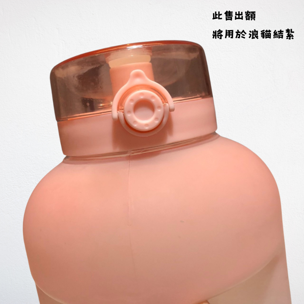 ❮二手❯ 元氣熊 GENKI BEAR 泳夏 Tritan 戶外運動水壺 2500ml 灰色 大容量水壺 運動水壺-細節圖6