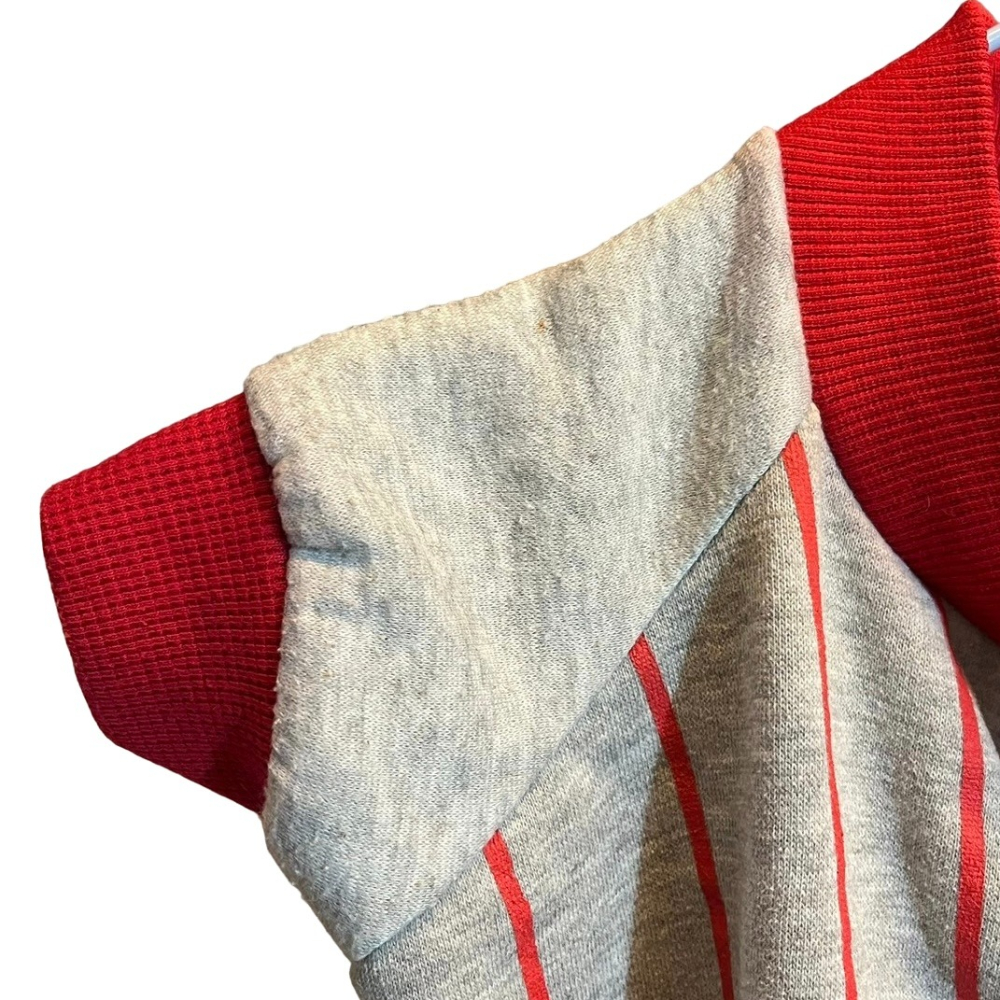 ❮二手❯ World Cup 世足賽 主客場球衣 寵物衣服 網眼衣 狗衣服 透氣背心 德國 巴西 西班牙 荷蘭 狗貓衣服-細節圖2