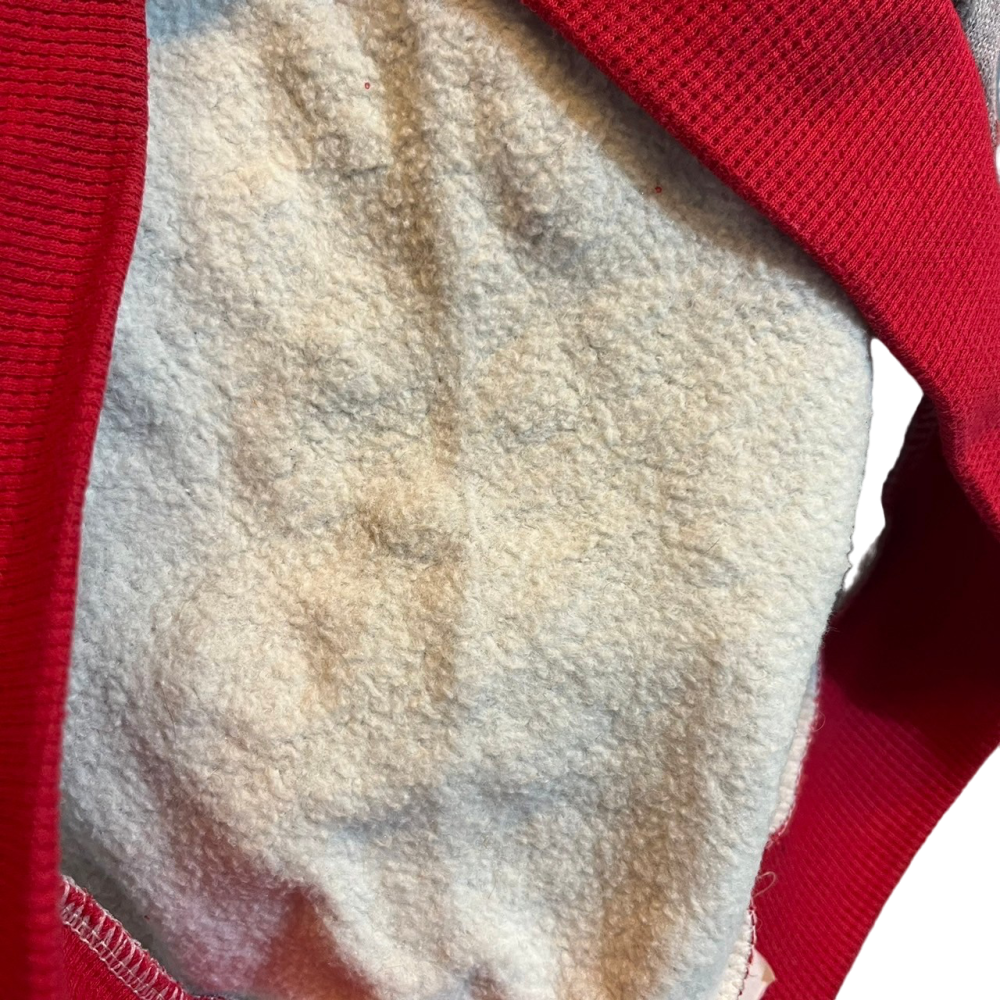 ❮二手❯ World Cup 世足賽 主客場球衣 寵物衣服 網眼衣 狗衣服 透氣背心 德國 巴西 西班牙 荷蘭 狗貓衣服-細節圖7