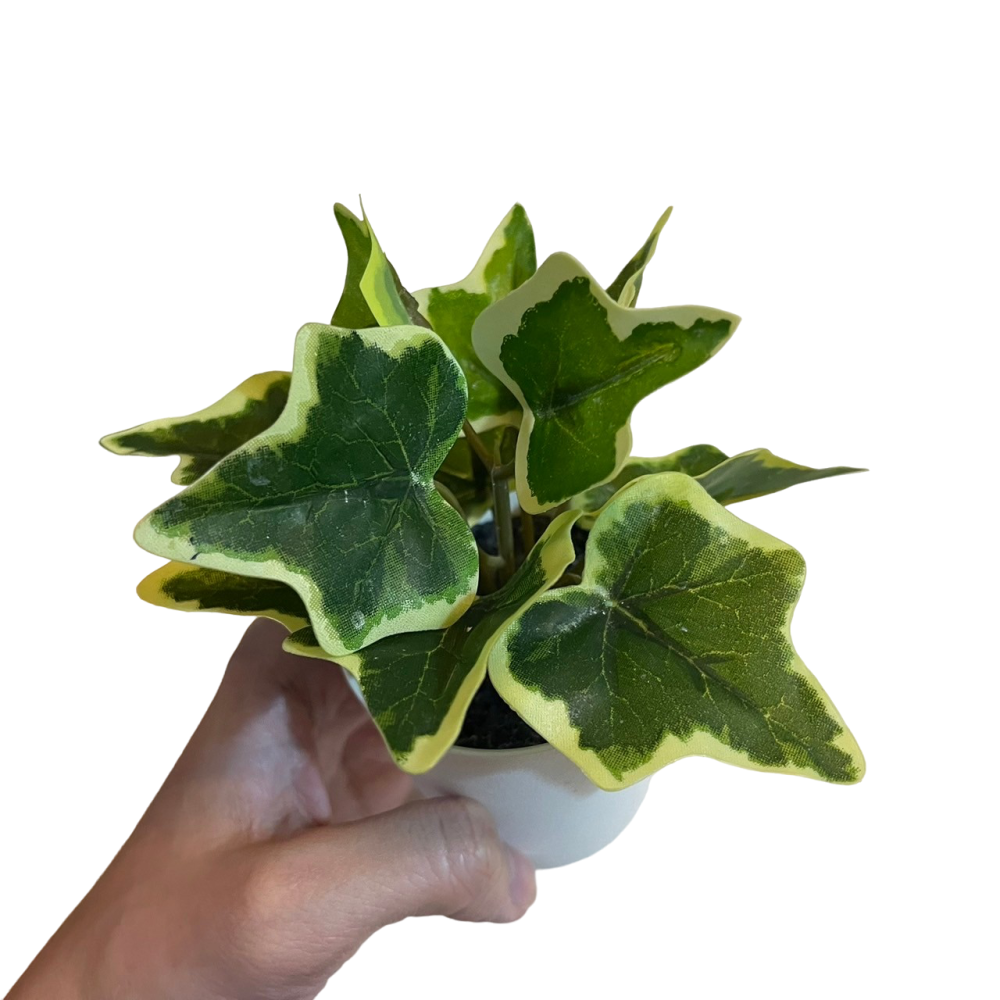 ❮近新❯ 瑞典 IKEA 宜家家居 人造花 英國常春藤 熱帶芙蓉花 萬年草 三色堇 東方聖誕玫瑰-細節圖2