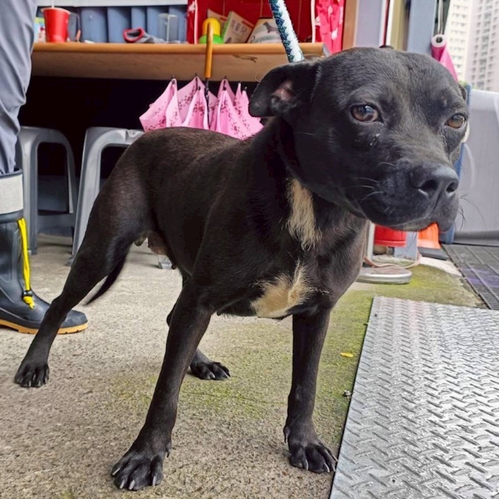 ❮二手❯ 日本 Panasonic 國際牌 CT700 MP3 CD隨身聽 手提唱碟放音機 日本製造-細節圖8