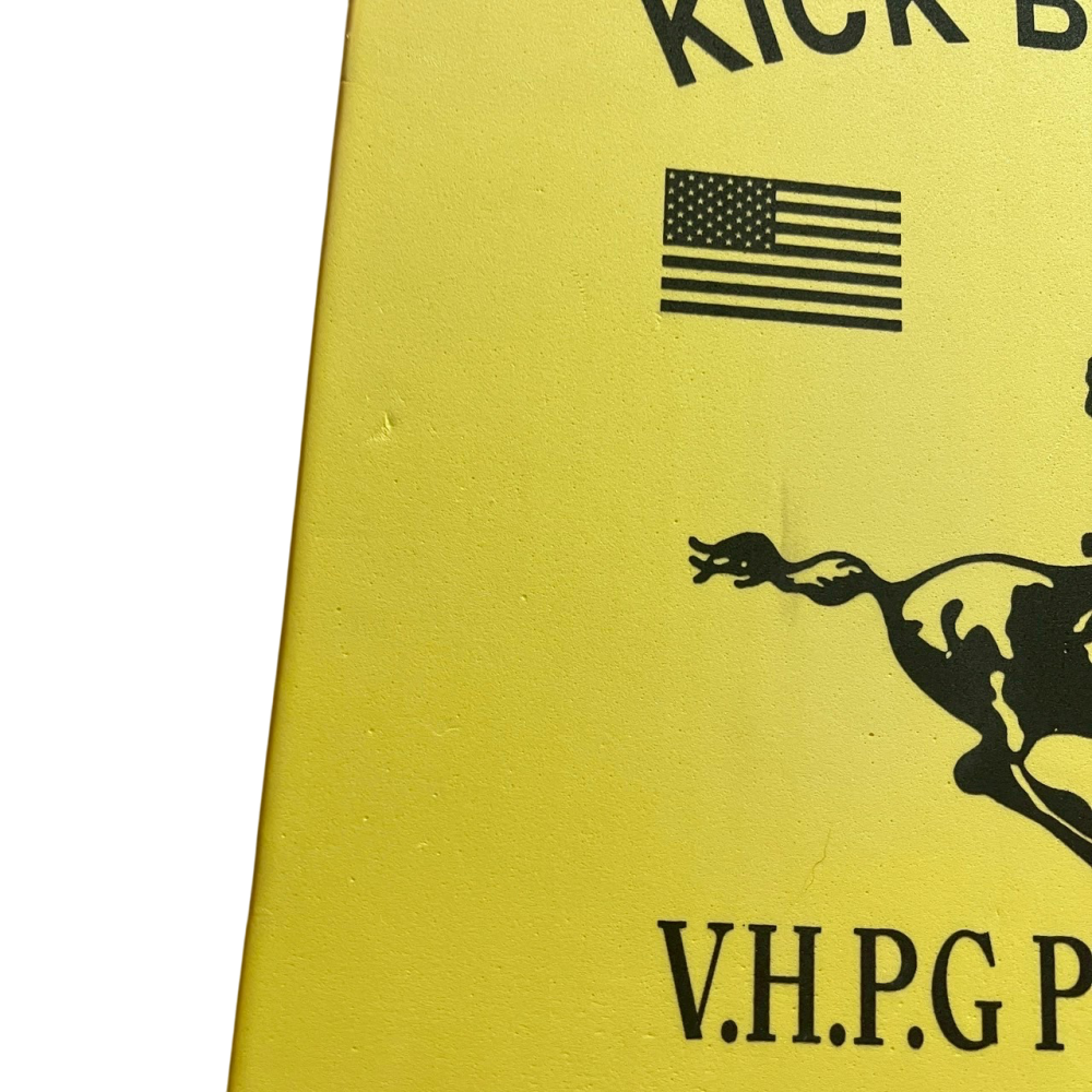 ❮二手❯ V.H.P.G PRO Polo 浮板 Kick Board 游泳訓練 游泳輔助 EVA泡棉 夏季游泳-細節圖6