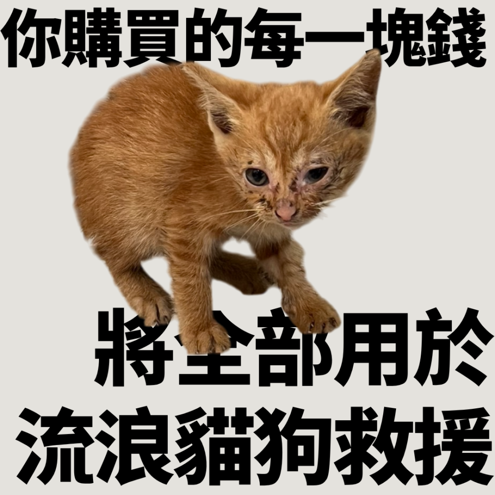 ❮全新❯ NO. J 貓頭鷹 手作刺繡貼布 刺繡裝飾貼 刺繡布貼布貼補丁貼衣服包包 DIY裝飾貼-細節圖6