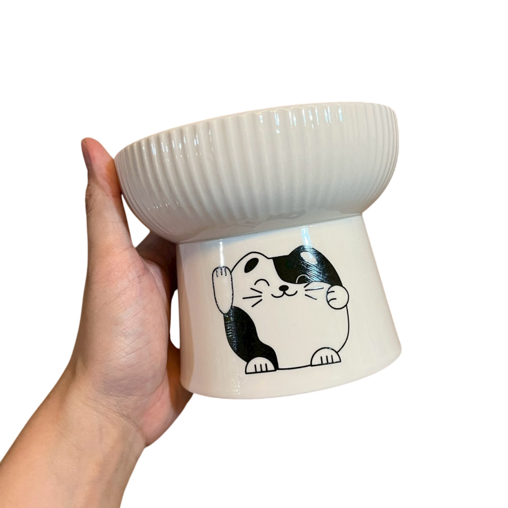 ❮全新❯ Cat 貓咪專用陶瓷高架碗 陶瓷碗 貓碗 狗碗 喝水 高架碗可減少貓咪進食時頸部和脊椎的壓力 有助於改善消化-細節圖6