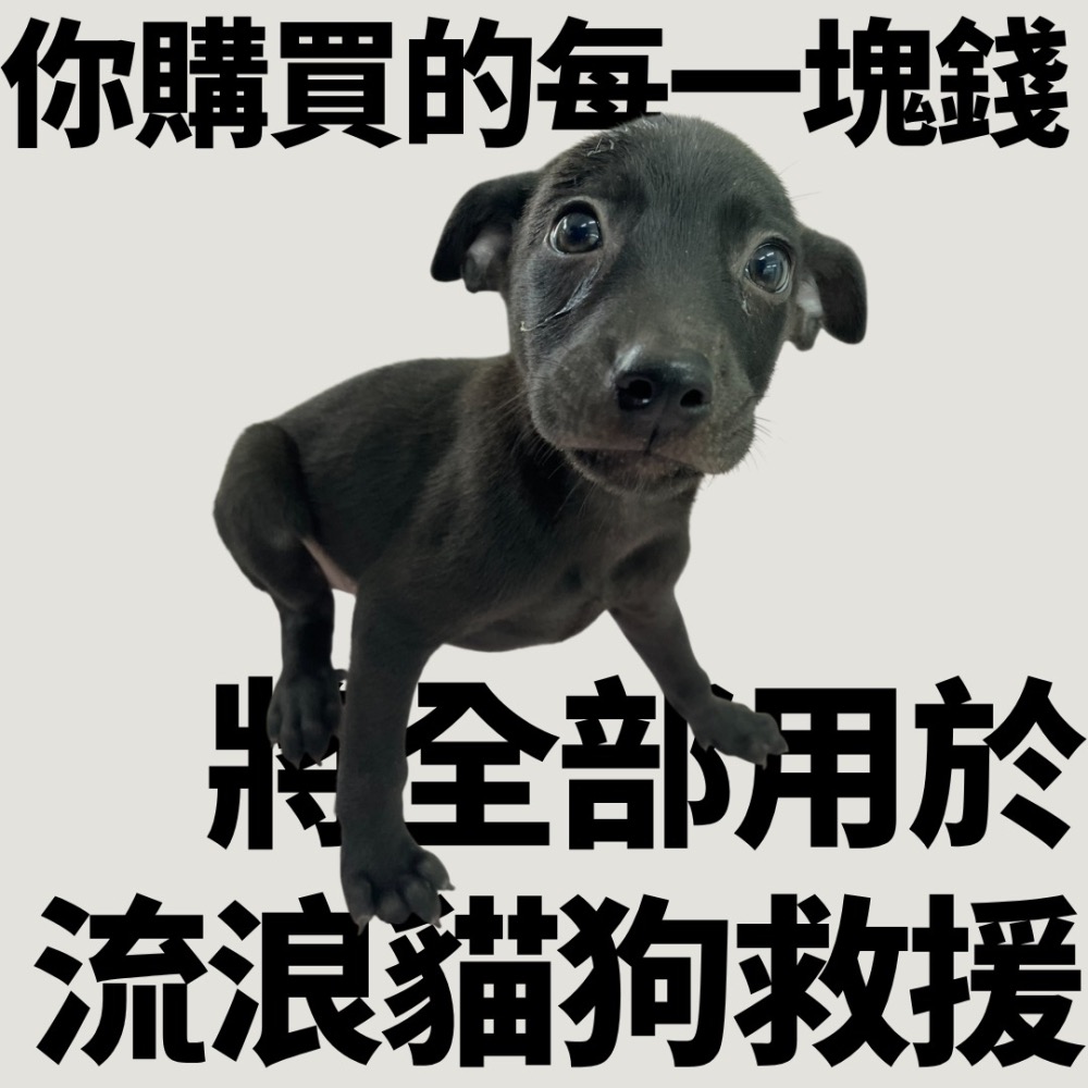 ❮二手❯ 華新尚愛德 保溫壺 2L 304不銹鋼熱水瓶 歐式暖壺咖啡壺鴨嘴壺 廚房及烹飪用具推薦 烹飪用具推薦-細節圖10