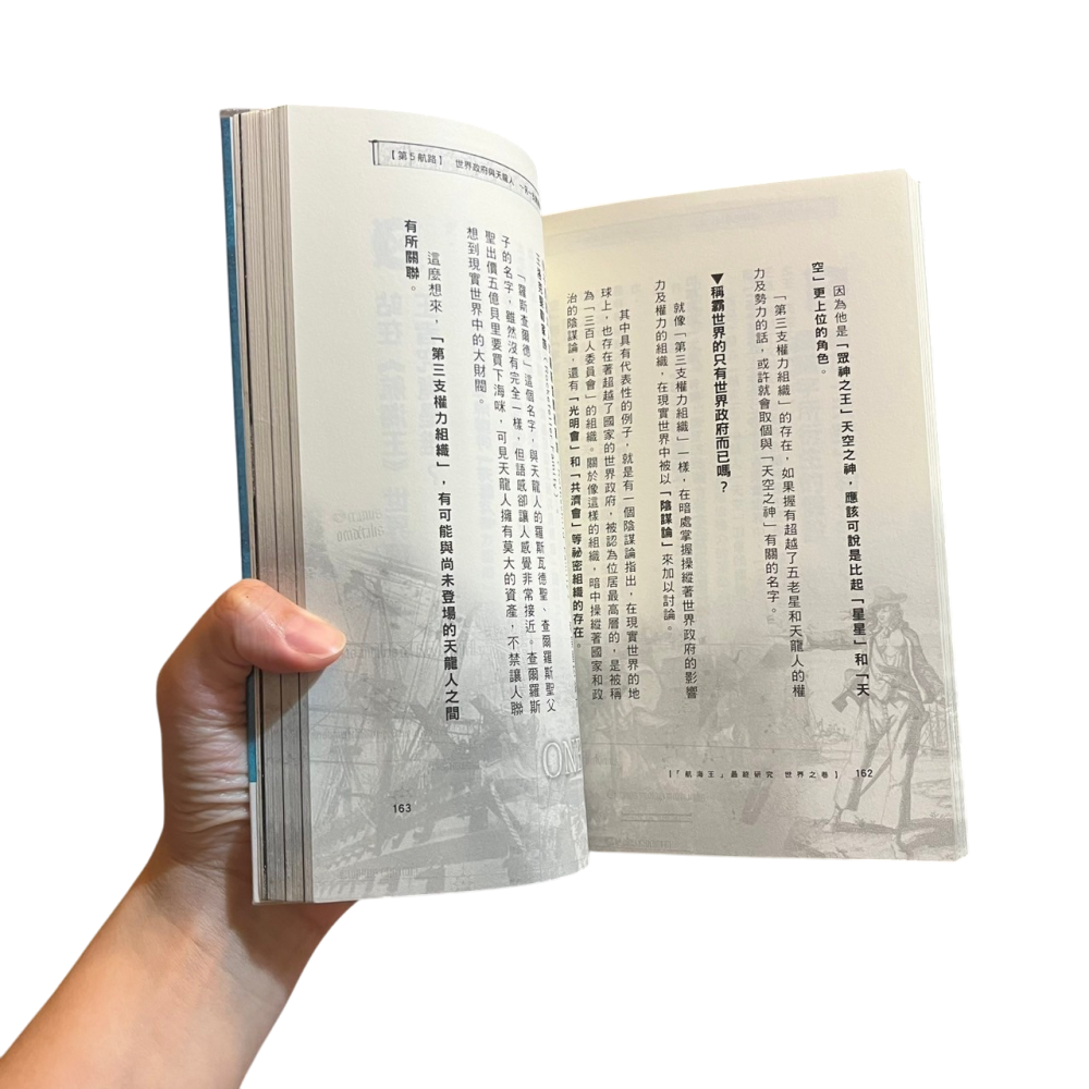 ❮二手❯ 日本 ONE PIECE 航海王《航海王最終研究：世界之卷》書籍 航海王の勁敵研究會-細節圖6