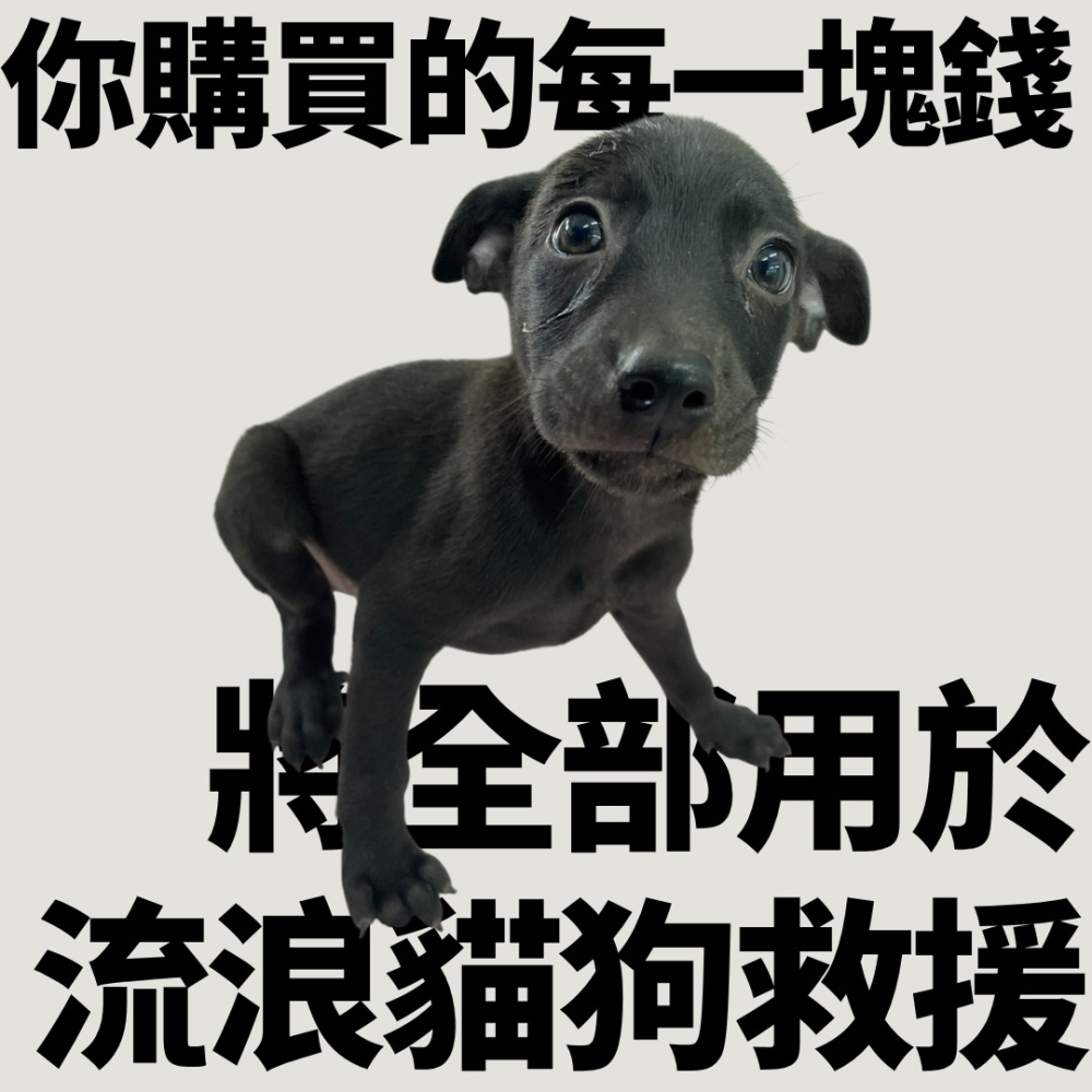 ❮二手❯ 日本 wacom Intuos 創意版 Pen&Touch(S) 繪圖板 CTH-480 多點觸控設計-細節圖9