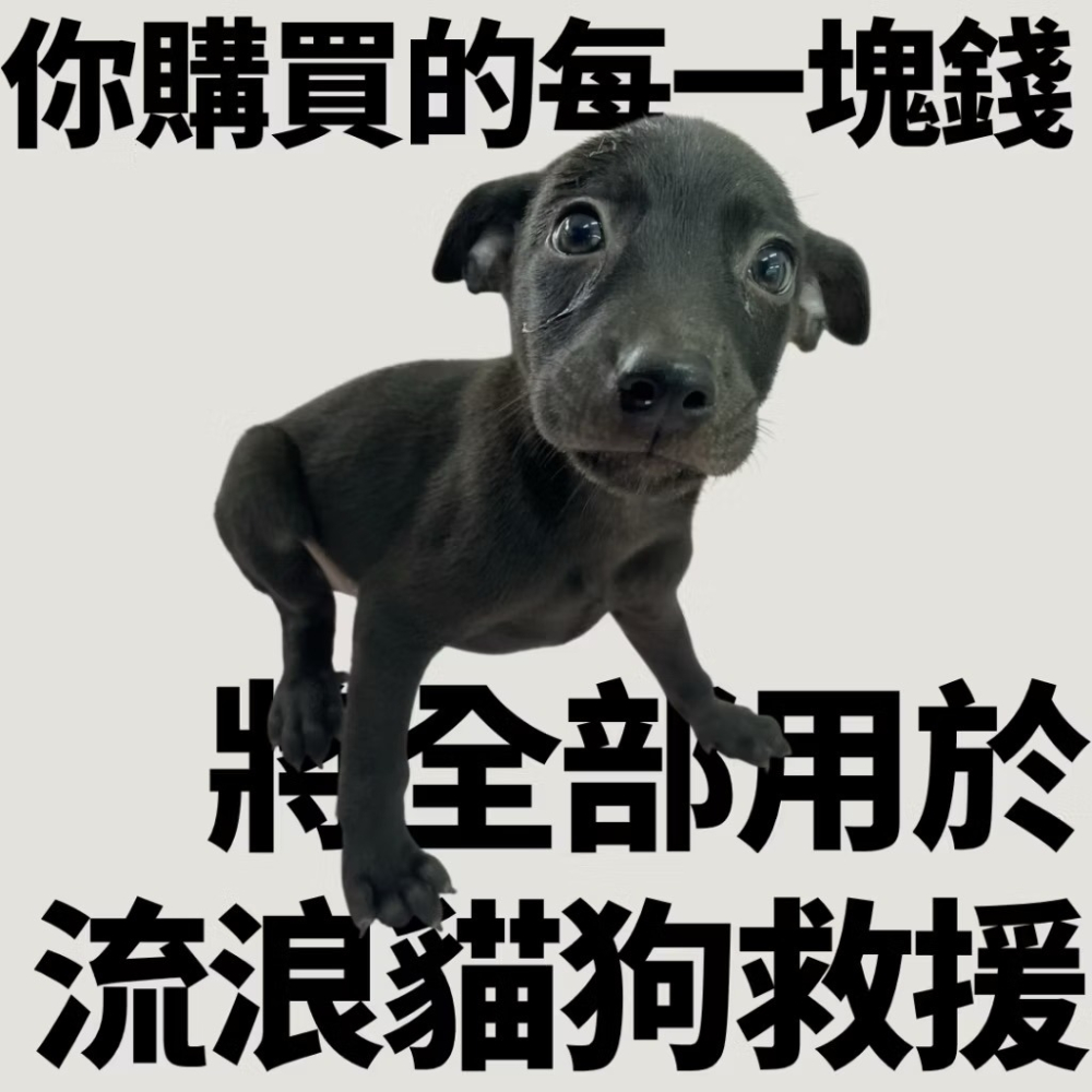 ❮近新❯ 法國 UBISOFT 育碧 看門狗2 Watch Dogs 2 遊戲周邊徽章 PS4 Xbox One PC-細節圖6