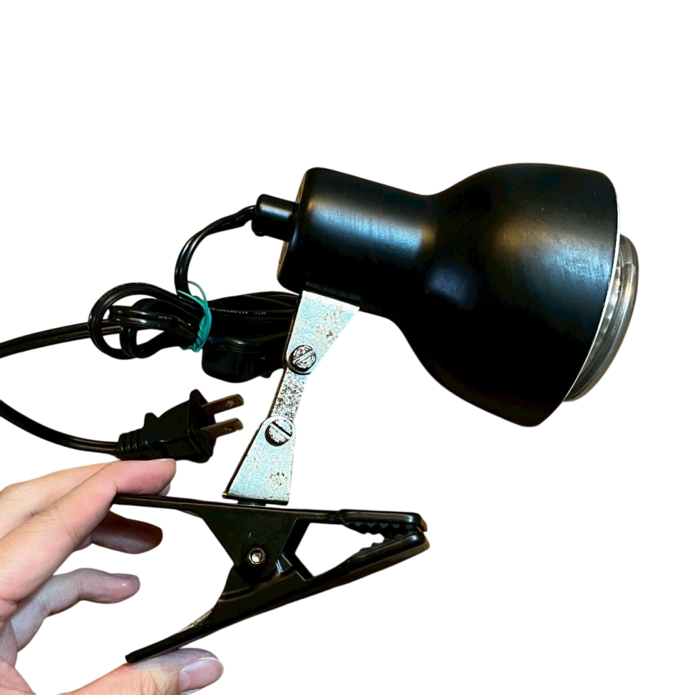 ❮二手❯ Heat lamp 萬向夾燈罩兩棲爬蟲 爬蟲 陸龜 鸚鵡 寵物保溫 陸龜保溫 超強力燈夾固定牢靠安全有保障-細節圖2