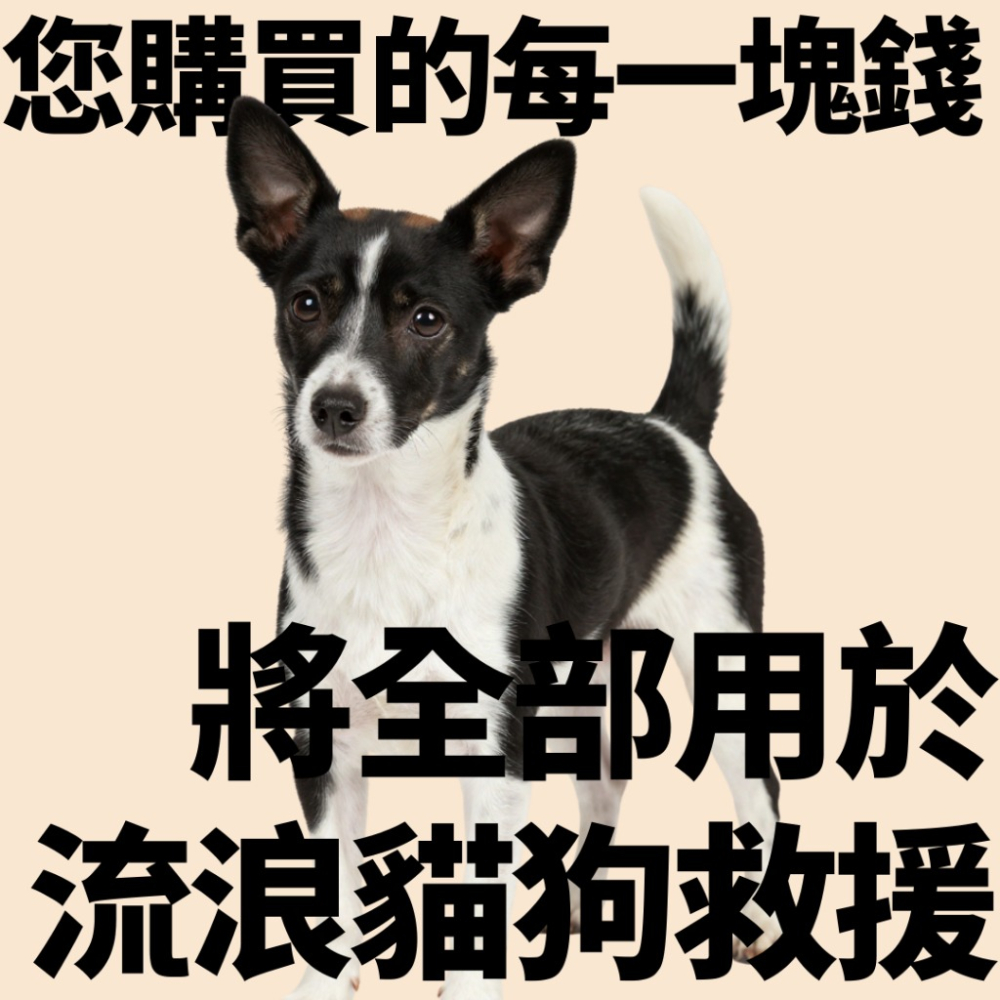 ❮全新❯ 萬國通路 Eminent 專業防護眼鏡 護目鏡 斌視企業製造 專利鏡片 台灣製 防風防塵 戶外運動必備-細節圖7
