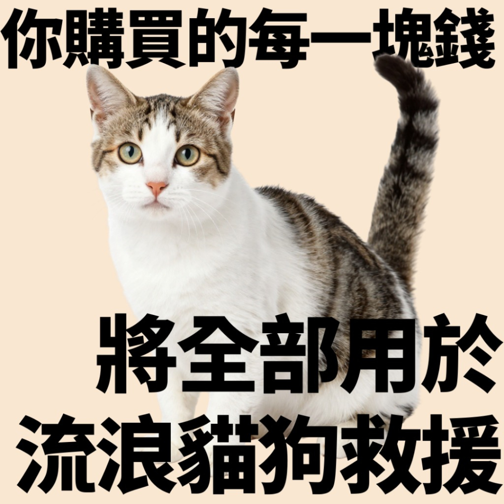 ❮全新❯ 無線便攜直髮梳｜USB充電式 負離子加熱梳 三段溫控 造型梳 隨身防燙 不傷髮 旅遊/機車族必備-細節圖9