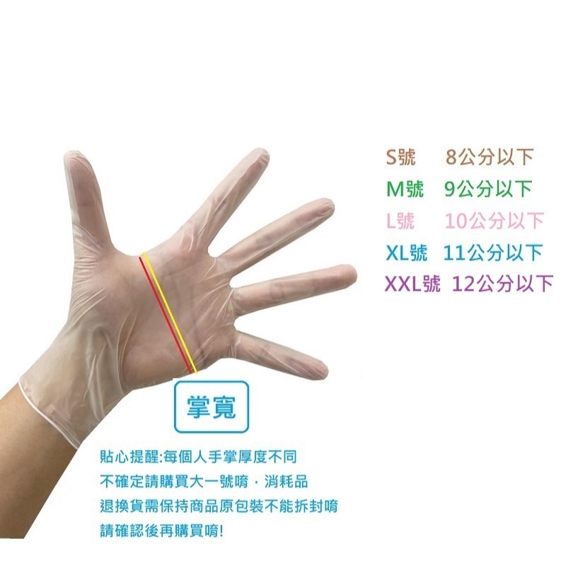 美恆-PVC手套 4.5克 中厚款 無粉手套 塑膠手套 透明手套 一次性手套 拋棄式手套 開發票 PVC手套-細節圖5