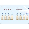 服裝版型研究室 全系列套書：上衣、裙子、褲子、洋裝、外套＆大衣的製圖、設計變化、打版等的詳細解說，可以製作適合自己服裝-規格圖9