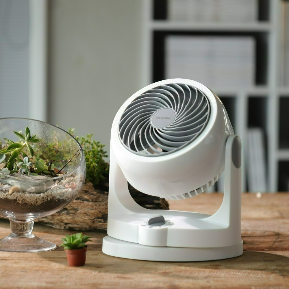 IRIS OHYAMA 空氣對流靜音循環扇 白 PCF-HD15W-細節圖2