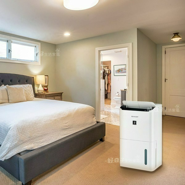 SHARP 夏普 8L 自動除菌離子清淨除濕機 DW-L8HT-W-細節圖2