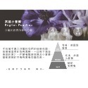 Cocodor韓國原裝進口擴香瓶(200ml)擴香 芳香劑 香氛 芳香 精油 除臭 附擴香棒 室內擴香 送禮自用 熱銷-規格圖2