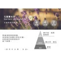 花園薰衣草GardenLavender