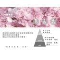 玫瑰香水 Rose Perfume 擴香