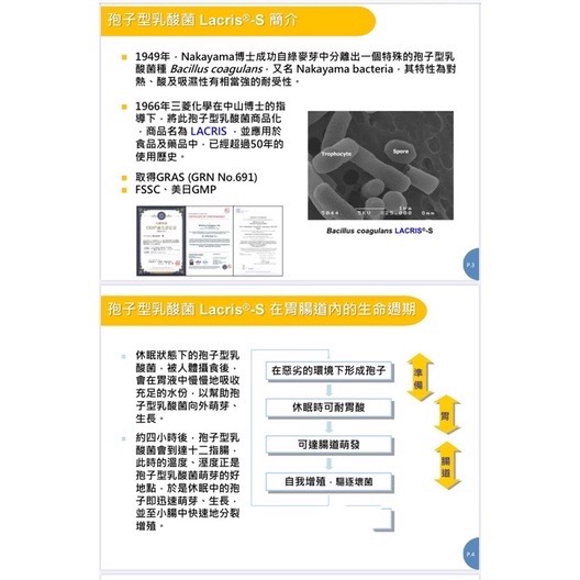 ［阿姐健康雜貨鋪］［買三送一］［兒童保護月大禮包］虹林日本三菱化學原料/虹林艾樂健益生菌 連鎖藥局款/臨床實驗報告-細節圖6