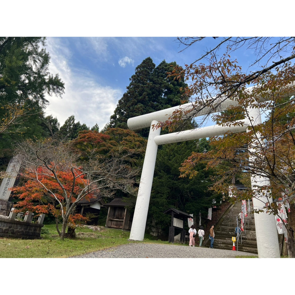 <現貨>日本福島縣土津神社疫病退散神籤-細節圖2