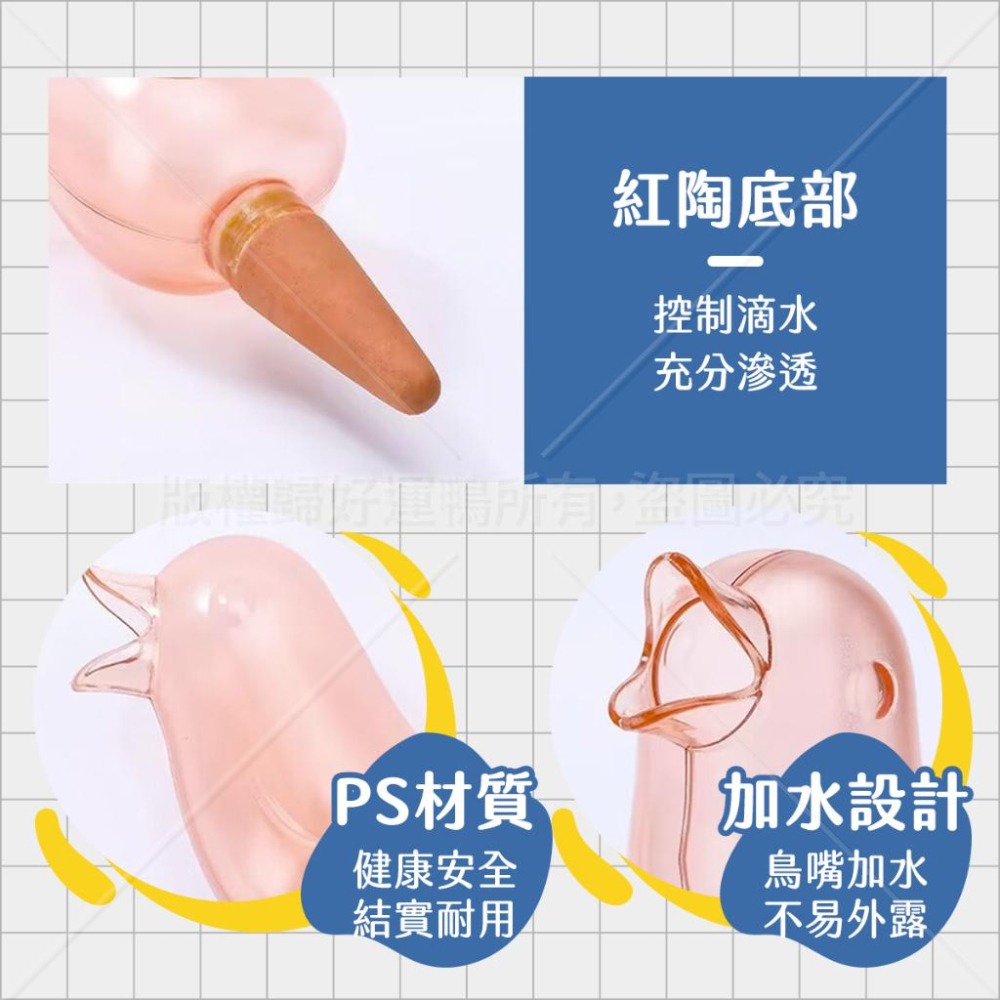 造型自動澆花器 造型自動澆花工具 自動澆水工具 自動澆花工具 自動澆花器-細節圖3