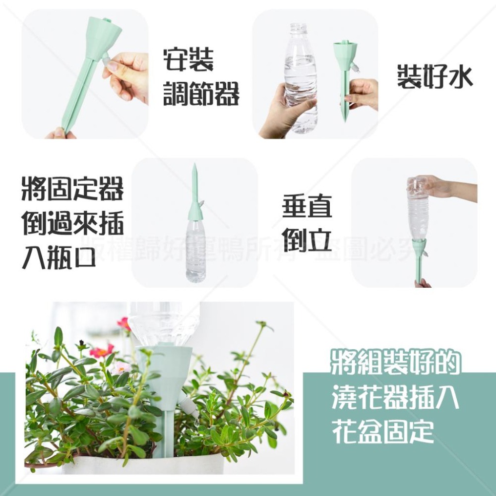 自動澆花器 定時澆花器 自動澆花工具 定時澆花工具 澆花工具-細節圖3