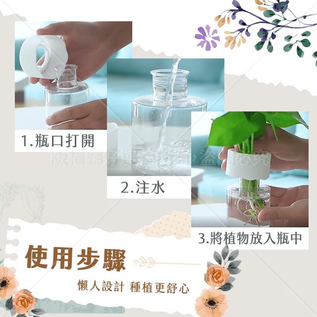 水培花盆 懶人盆栽 透明花盆 辦公室花盆 療育花盆 水培瓶 圓形花盆 簡約水培盆 送禮花盆-細節圖7