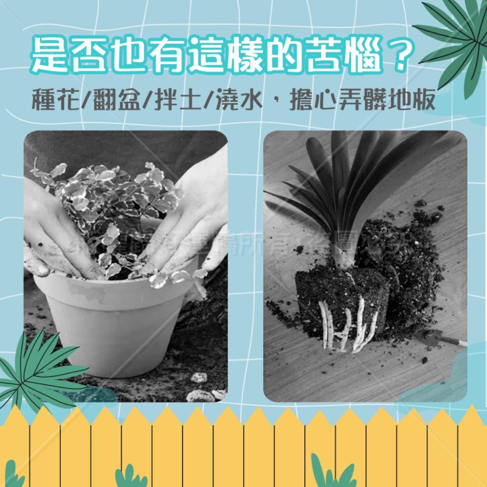 園藝換土墊 換土保護墊 防水換土墊 防水換土保護墊 換土DIY防水墊-細節圖4