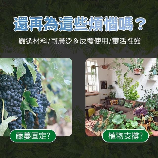 10入 植物支撐桿 盆栽支撐架 植物支撐 花盆支架 蘭花支架 花卉支撐杆 蝴蝶蘭支架 盆栽支架-細節圖2