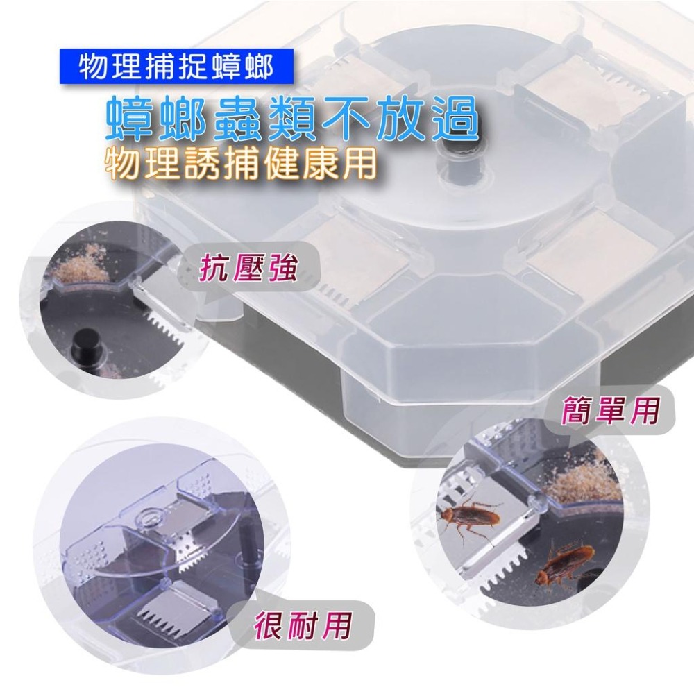 【台灣現貨免運 蟑螂屋】蟑螂捕捉器 蟑螂誘捕器 滅蟑螂器 蟑螂屋 蟑螂藥屋 捕螞蟻神器-細節圖2