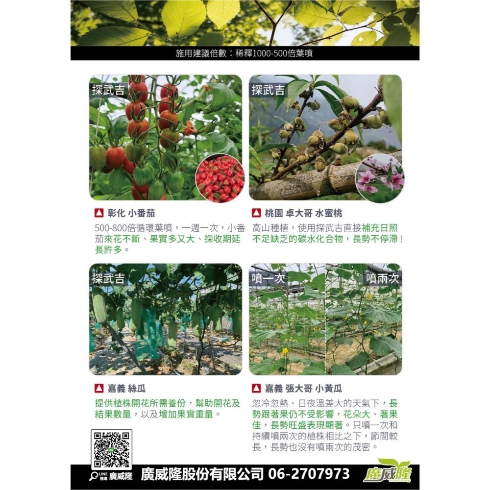 ├豐收樂┤ 探武吉 1L  名稱變更配方升級  單醣果糖雙醣蔗糖  補碳降氮調整碳氮  提高開花果肉厚重  廣威隆-細節圖3