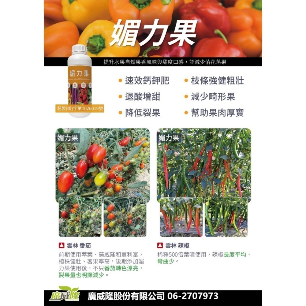 ├豐收樂┤ 媚力果  1L  名稱變更配方升級  瓜果補充鉀鈣鎂硼  果形漂亮媚力無限  葉菜補充增重厚實   廣威隆-細節圖2