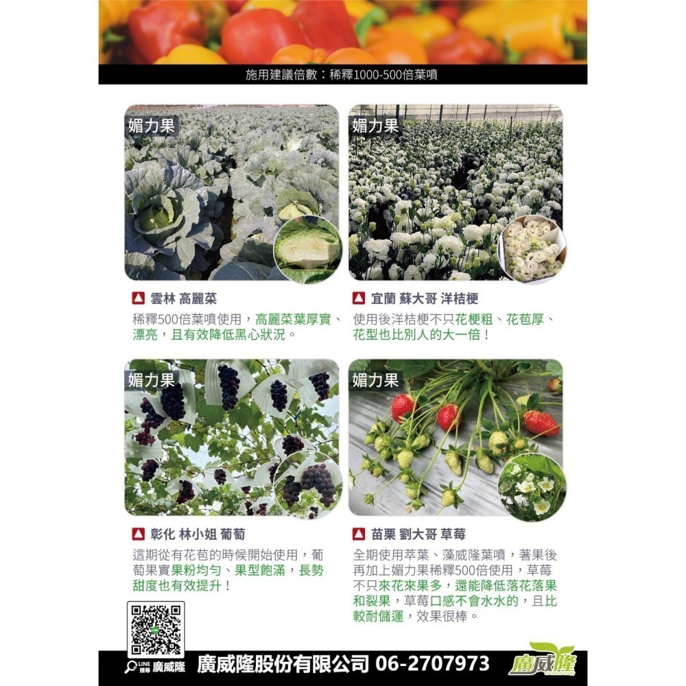 ├豐收樂┤ 媚力果  1L  名稱變更配方升級  瓜果補充鉀鈣鎂硼  果形漂亮媚力無限  葉菜補充增重厚實   廣威隆-細節圖3