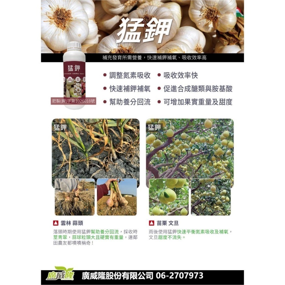 ├豐收樂┤猛鉀 1L  名稱變更配方升級  弱鹼高鉀營養回流  誘導耐旱抵禦高溫  高碳高氧補充快速   廣威隆-細節圖2