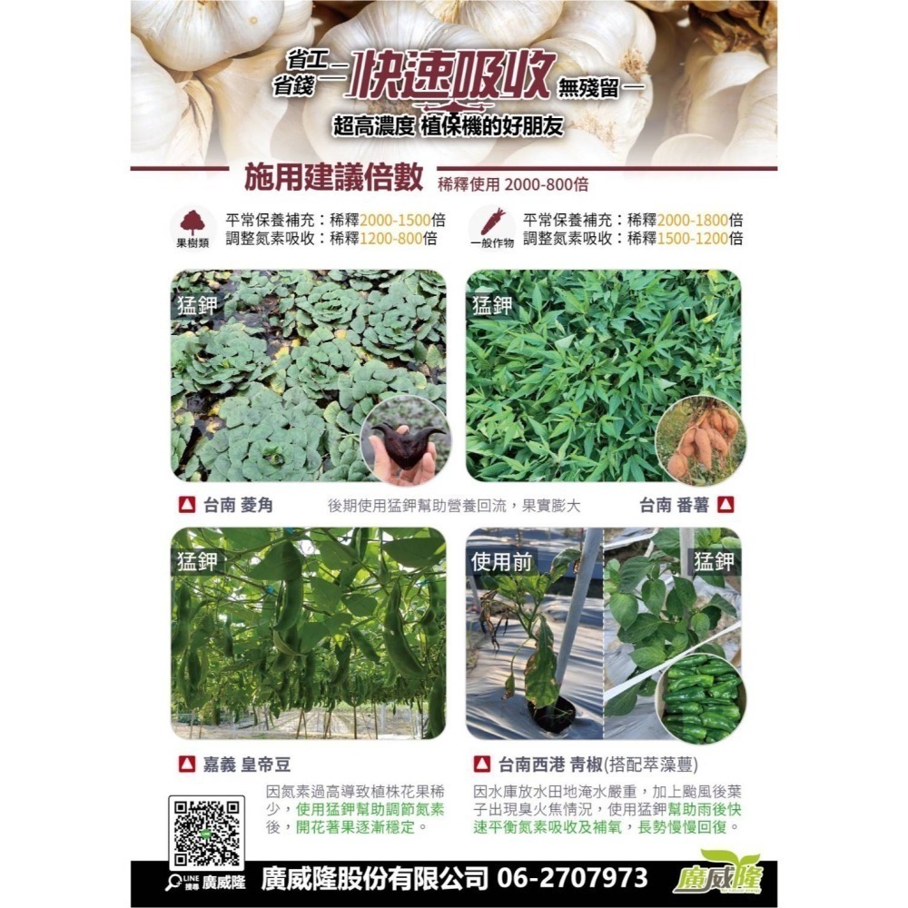 ├豐收樂┤猛鉀 1L  名稱變更配方升級  弱鹼高鉀營養回流  誘導耐旱抵禦高溫  高碳高氧補充快速   廣威隆-細節圖3