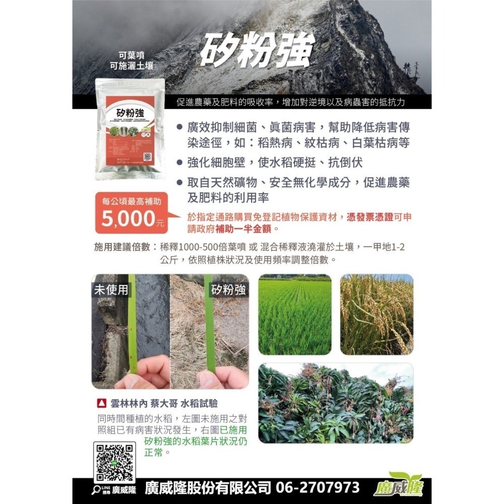 ├豐收樂┤ 矽粉強  500g  奈米矽粉強化胞壁  水稻豐產堅挺不倒  抗病抗蟲全部遠離 吸收迅速表現快捷 廣威隆-細節圖2