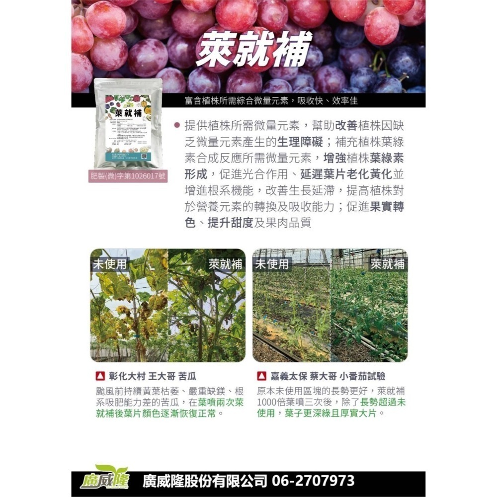 ├豐收樂┤ 萊就補 500g 吊青轉色無往不利  果形完美又黑又直  微量元素少量多餐  吸收迅速表現快捷  廣威隆-細節圖2