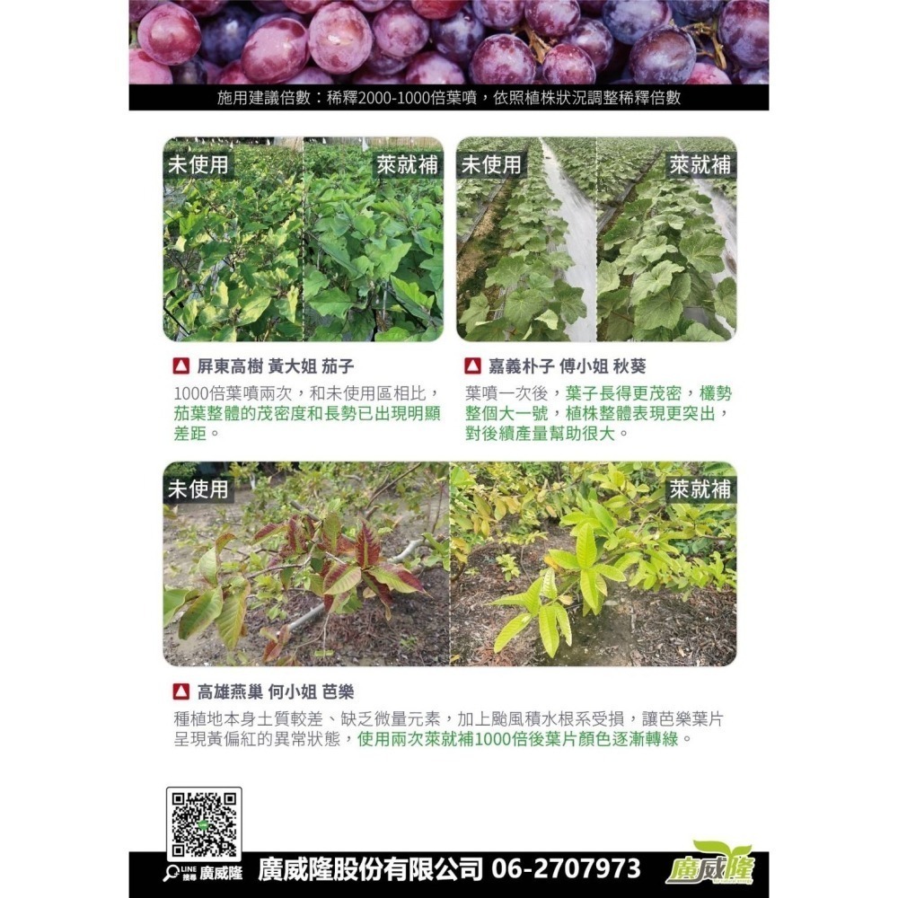 ├豐收樂┤ 萊就補 500g 吊青轉色無往不利  果形完美又黑又直  微量元素少量多餐  吸收迅速表現快捷  廣威隆-細節圖3