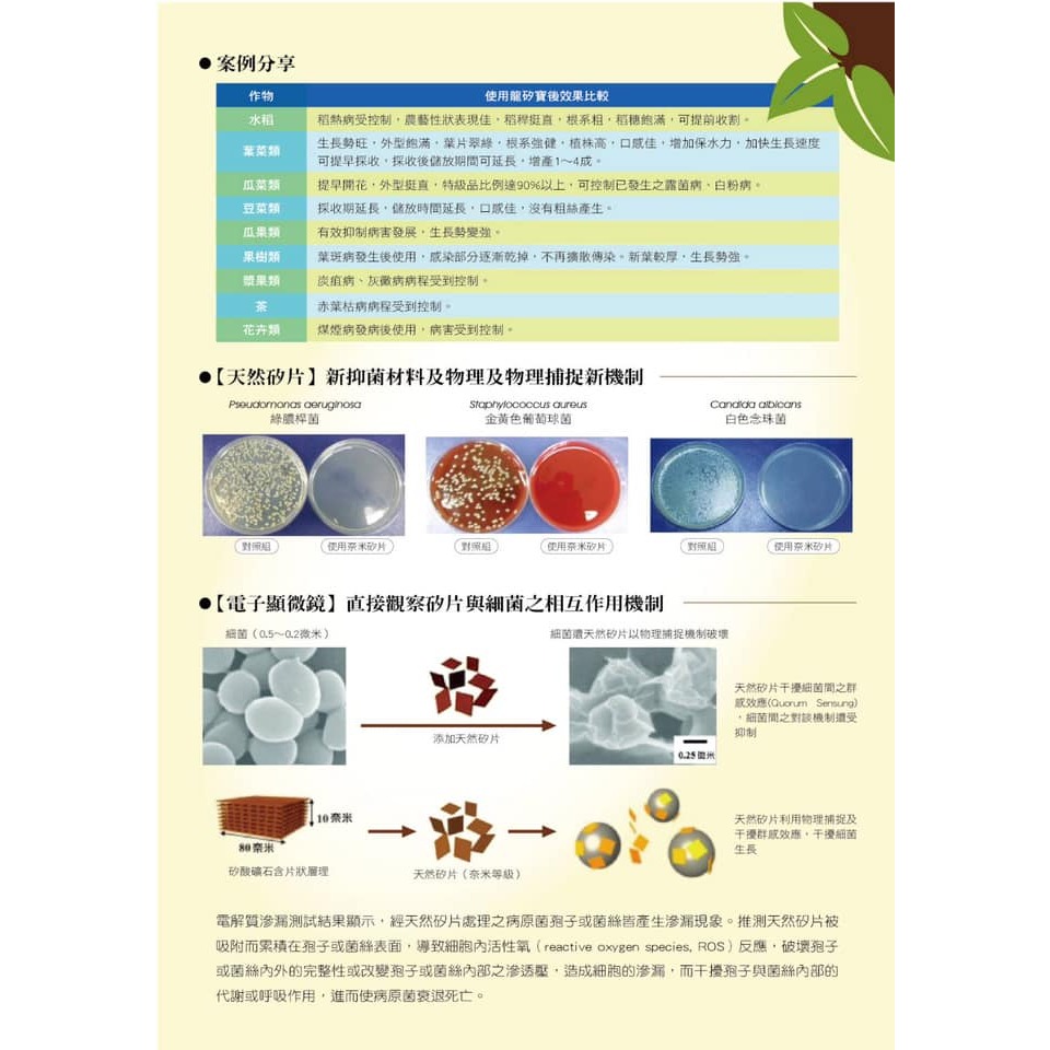 ├豐收樂┤ 龍矽寶 500g    非結晶型二氧化矽 抑菌天然矽片 免登記植物保護資材-細節圖3