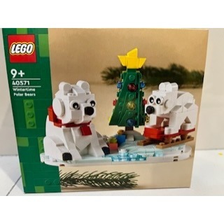 ❗️現貨❗️《超人強》LEGO 樂高 40571 holiday-冬日北極熊
