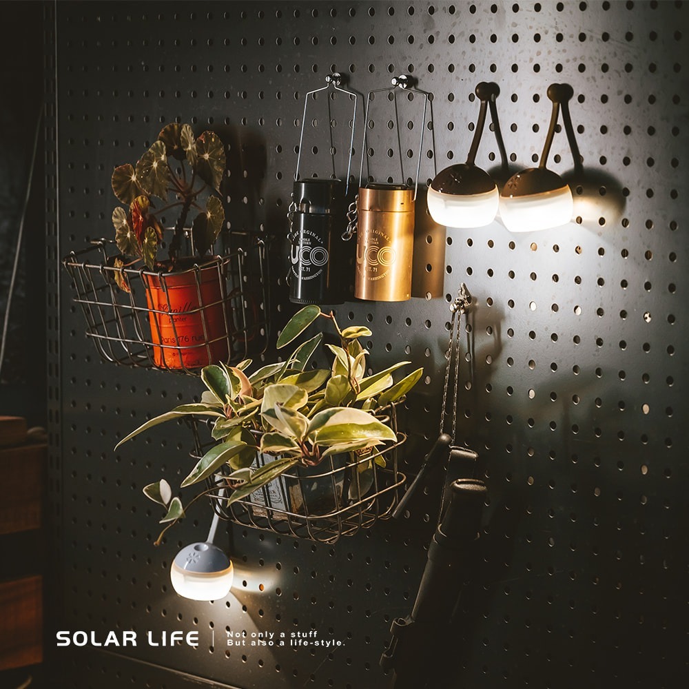 索樂生活 Solarlife 12x16mm 金屬強力磁鐵圖釘.圖釘磁鐵 磁圖釘 磁鐵掛勾 冰箱磁鐵 白板磁鐵-細節圖3